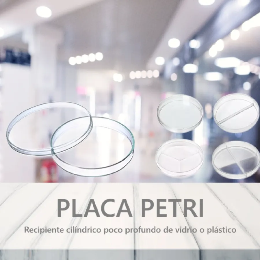 Placa Petri de laboratorio